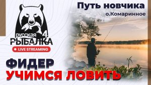 Русская Рыбалка 4: Фидер - Путь новичка #russianfishing4 #русскаярыбалка4