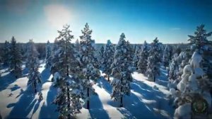 ГОЛОС РОДНОЙ ЗЕМЛИ Сборник самых сильных баллад января ВЕЛЕСЛОВО .