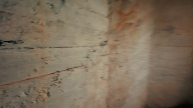 Серая лошадь смотреть онлайн