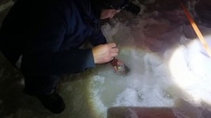 VID_20260208_214536_997