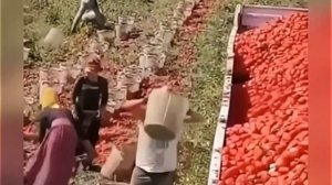 Когда ты стал опытным в этом деле?