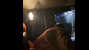 в лесу застряли