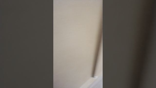 VID_20260207_152438.mp4