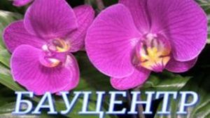 №1167/ «ШОУ ОРХИДЕЙ» в БАУЦЕНТРЕ Т