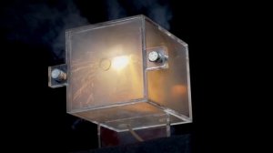 Интеллект Экосистема Безопасная среда