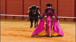 Тореро (cover)