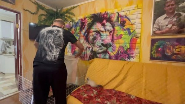 Наше УТРО НАЧАЛОСЬ! Уборка, чистка и кормежка! Люська требует домой, а Басик и Бемби хотят ГУЛЯТЬ!