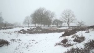 Снег кружится (Chris De Burgh - Юрий Лир)