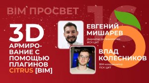 Армирование в ревит с помощью плагинов Citrus BIM. Евгений Мишарев, Влад Колесников. BIM Просвет
