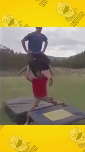 по яблочкам