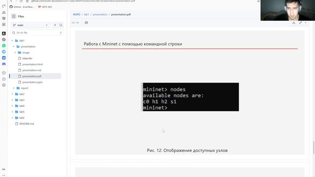 [МСПД] Лабораторная работа 1 - Защита Презентации