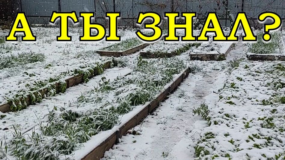 ВНИМАНИЕ, новые правила ДЛЯ ДАЧНИКОВ! Межевание участка, что изменилось🔥🔥🔥 смотреть онлайн