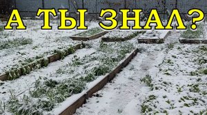 ВНИМАНИЕ, новые правила ДЛЯ ДАЧНИКОВ! Межевание участка, что изменилось🔥🔥🔥