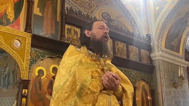 Добрый пастырь отдает свою жизнь за овец (Ин. 10 9-16) смотреть онлайн