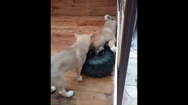 Шиномонтаж_converted