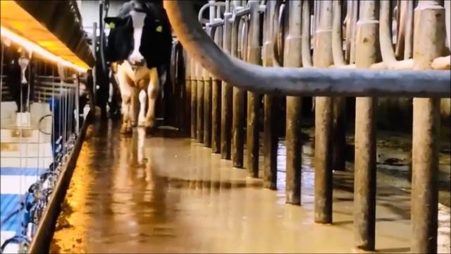 Novii teknologii hozaystva