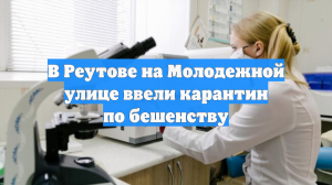 В Реутове на Молодежной улице ввели карантин по бешенству