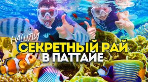 ПАТТАЙЯ. Нашли Самую Чистую Воду! Снорклинг, Подводный мир. Таиланд 2026