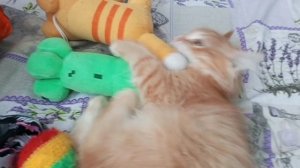 Домовёнок Кузя