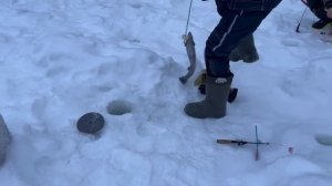 08.02.26 г. РК Волна.