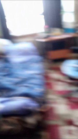 08-02-2026 капуста домашняя и лалала. свое выкине.