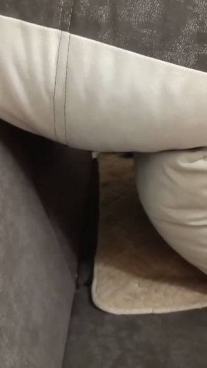 5 ночей с хаги ваги 1 ночь