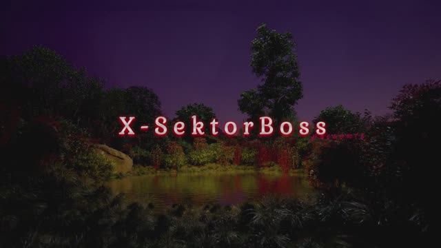 X-SektorBoss 231 - естественная красота