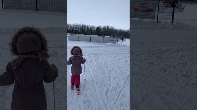 Лиза на Заре, 8 февраля 2026