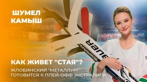 Как живет "Стая"? Жлобинский "Металлург" готовится к плей-офф Экстралиги. Шумел Камыш