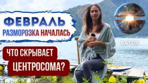 ПРОСНИСЬ! РАЗМОРОЗКА НАЧАЛАСЬ. ЧТО СКРЫВАЕТ ЦЕНТРОСОМА? | Anika Si
