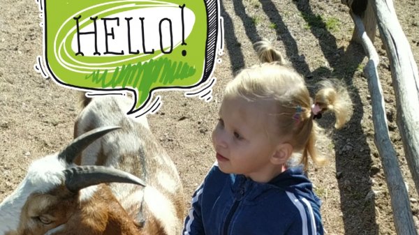 Ангелина кормит животных и развлекается на экоферме❤️