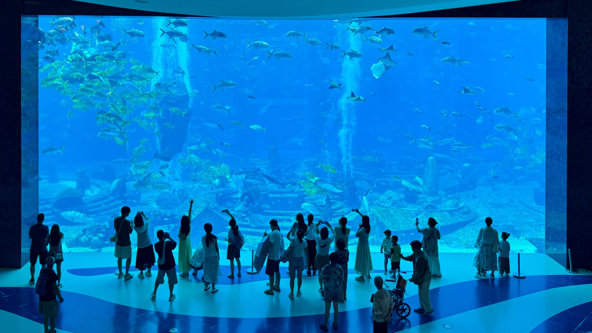 Русалки, акулы, скаты, черепахи и другие обитатели огромного аквариума в холле отеля Atlantis Sanya смотреть онлайн
