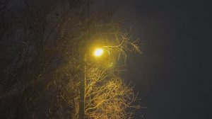 Неспешные зимние дни.