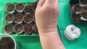 copy_978F11A9-63C5-45FE-BC4A-30323597D416