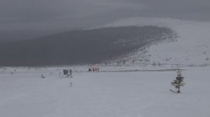 Тайна Перевала Дятлова. Кедр #13