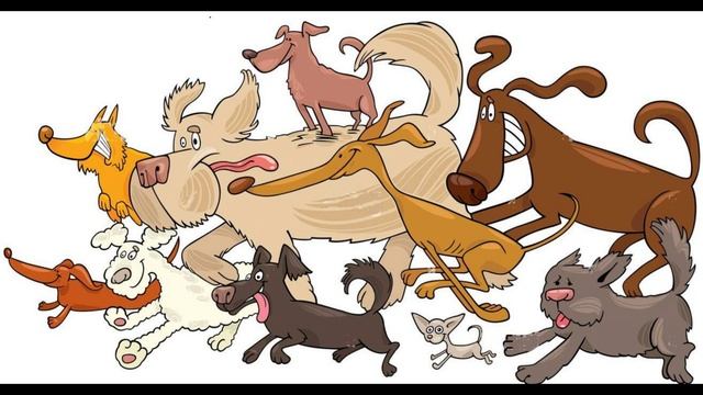 На выставке собак смотреть онлайн