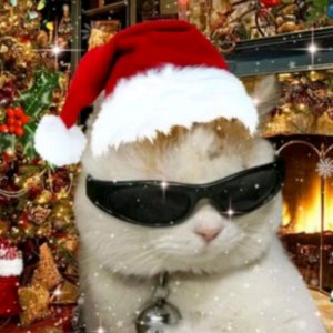 СТРИМ (сорр тот я случайно выкл)