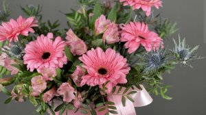 Погоду не поймёшь/ Работу работаем