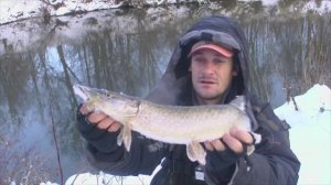 Что делает щука на окуневом месте? зимний спиннинг на малой реке.