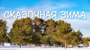 Сказочная зима