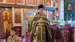 Отец Димитрий Лин_ПРОПОВЕДЬ_СТУДИТ ПРЕСТОЛЬН,Ый_08.02.2026