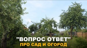 РУБРИКА "ВОПРОС-ОТВЕТ": О плодовом саде, биопрепаратах и удобрении почвы.
