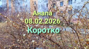 Анапа 08.02.2026 Коротко