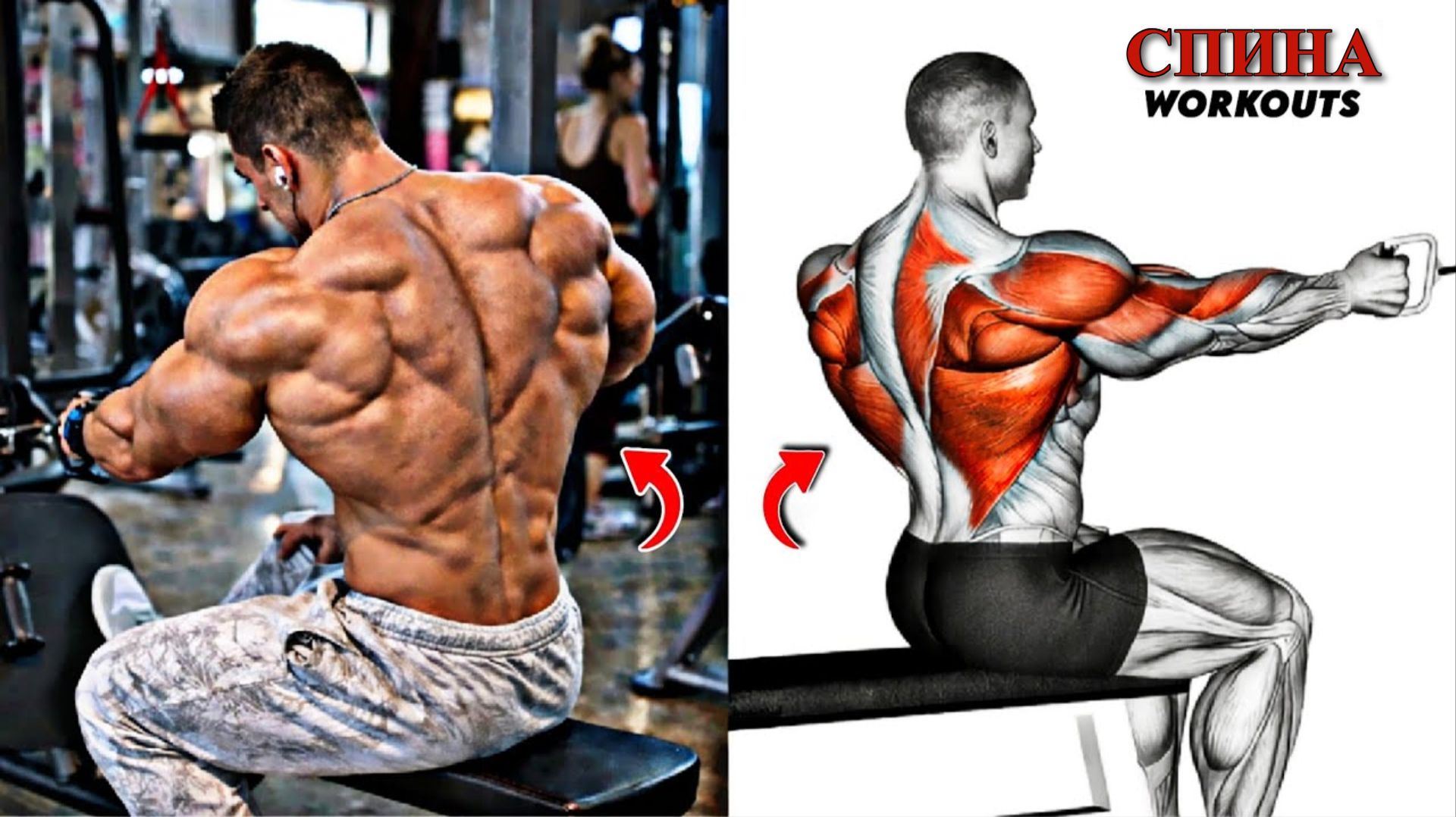 8 Безумных Упражнений Для Спины - Накачай Быстро Ширину, Толщину и Силу 🔥 смотреть онлайн
