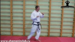 Тхэквондо. Махи ногами (часть II) Антон Шаманин
