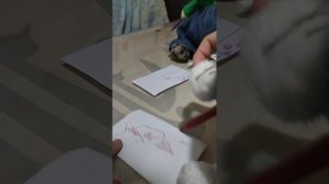 Басики рисуют картинки