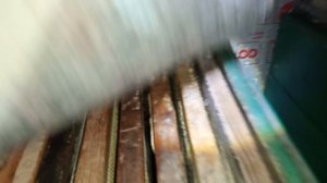 проверка зимовки пчел 7.02.26