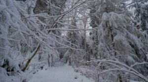 Маленькая смерть