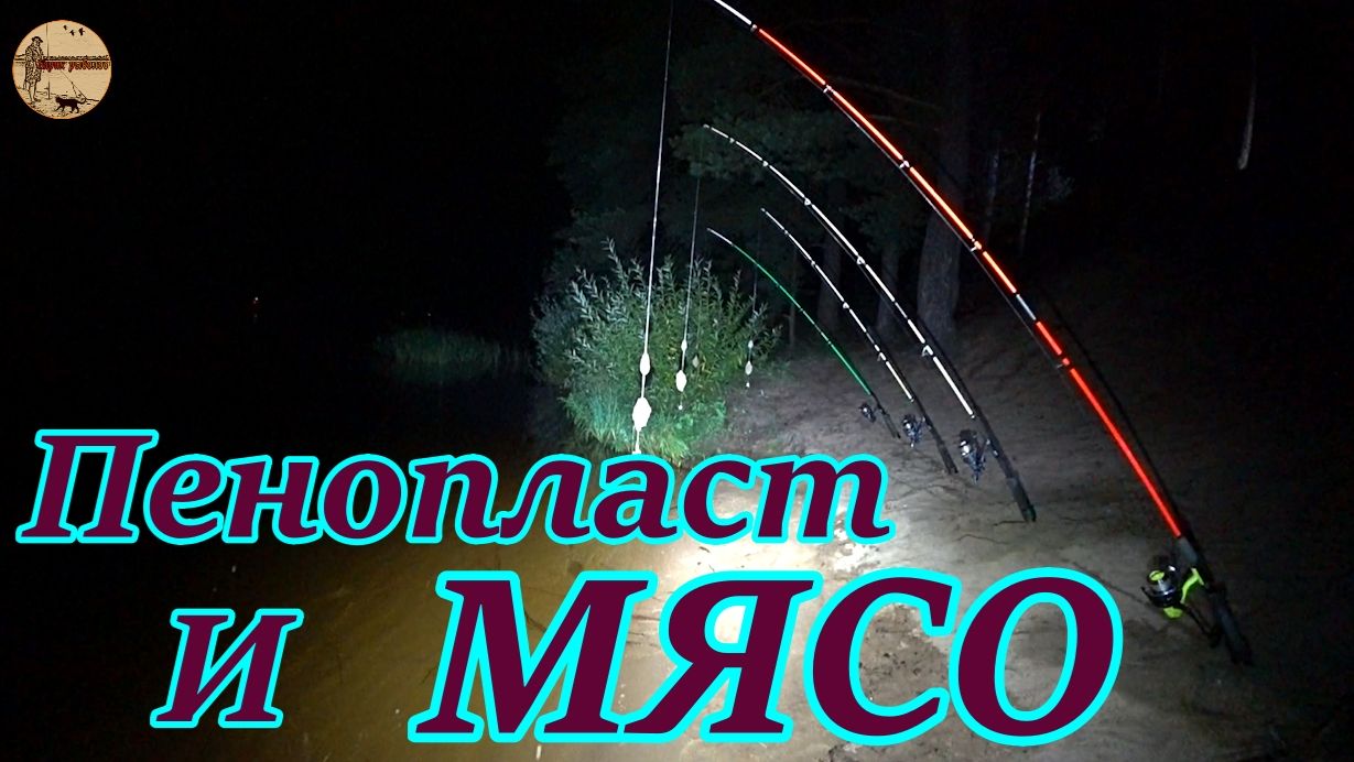 Рыбалка с ночевкой.Рыба клюёт на мясо..#рыбалка .#донки .#река .#сало .#пенопласт .#лещ. смотреть онлайн