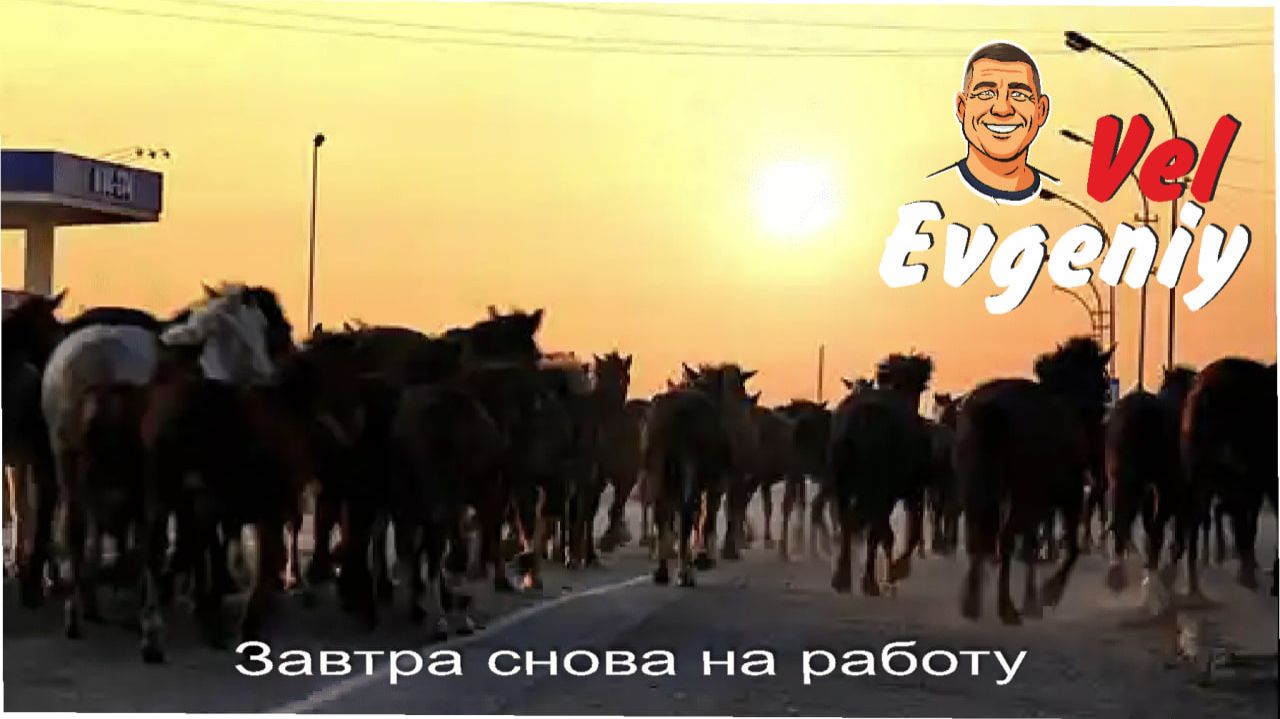Завтра снова на работу смотреть онлайн